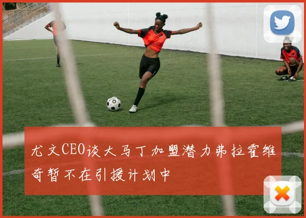 尤文CEO谈大马丁加盟潜力弗拉霍维奇暂不在引援计划中