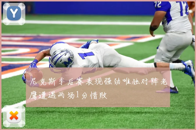 尼克斯季后赛表现强劲唯独对阵老鹰遭遇两场1分惜败