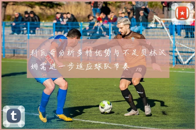 科瓦奇分析多特优势与不足贝林汉姆需进一步适应球队节奏